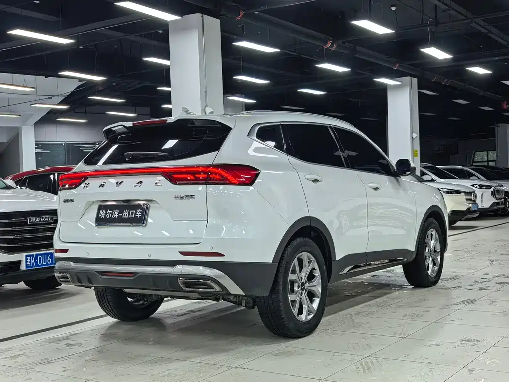 Haval H6 2022 — фото 25