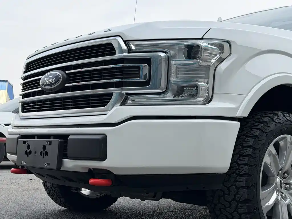 Ford F-150 Raptor 2020 — фото 19
