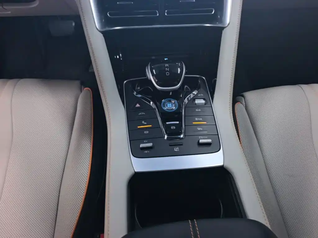 BYD Song PLUS New Energy 2023 — фото 14