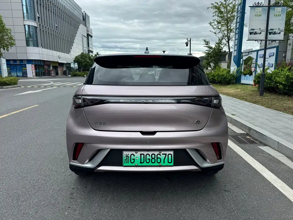 BYD Dolphin 2022