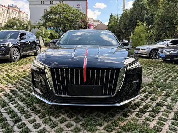 Hongqi H5 2024