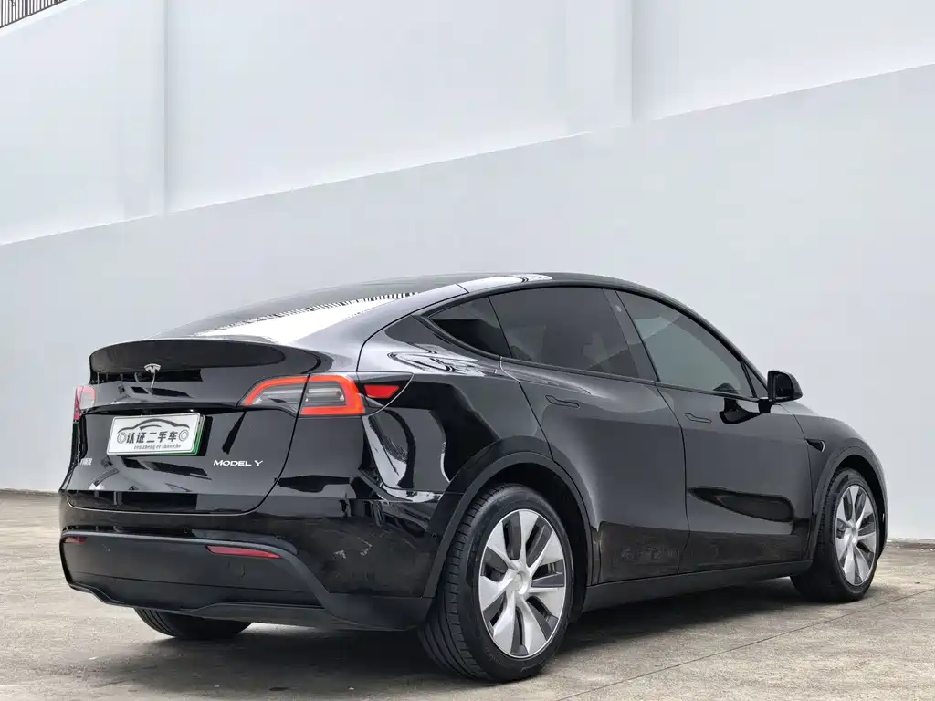 Tesla Model Y 2021 — фото 11