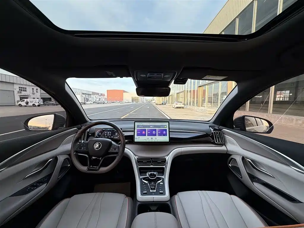 BYD Pro New Energy 2024 — фото 12