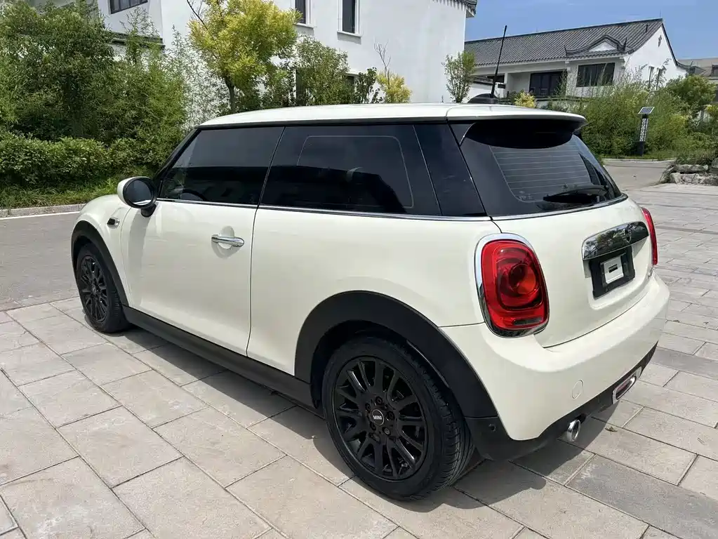 MINI MINI 2019