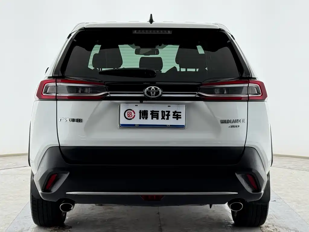 Toyota Wildlander 2020
