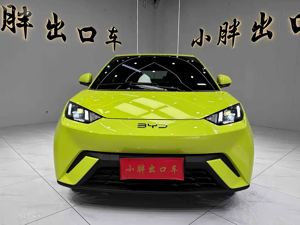 BYD Seagull 2024