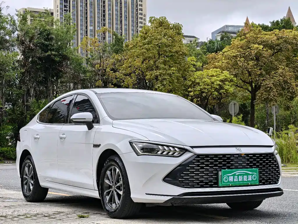 BYD Qin PLUS 2024 — фото 3