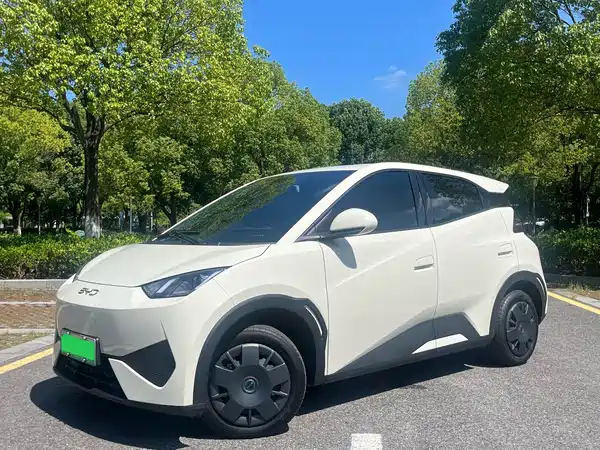 BYD Seagull 2025