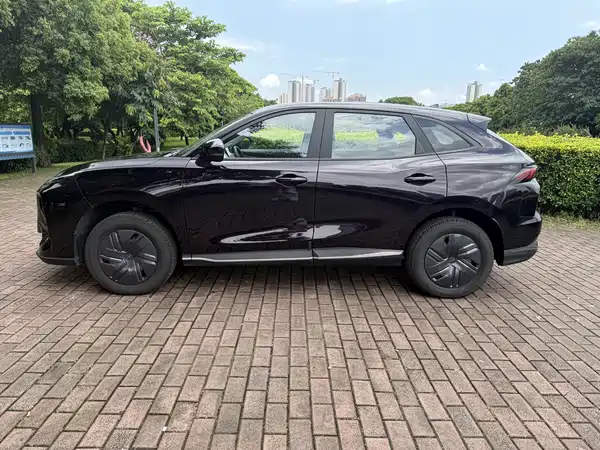 Dongfeng Xinghai X5 2025