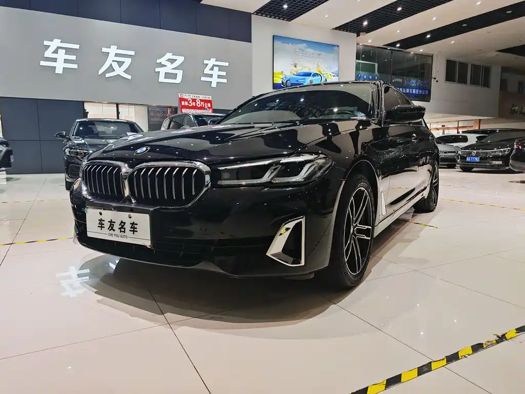 BMW 5 Series New Energy 2021