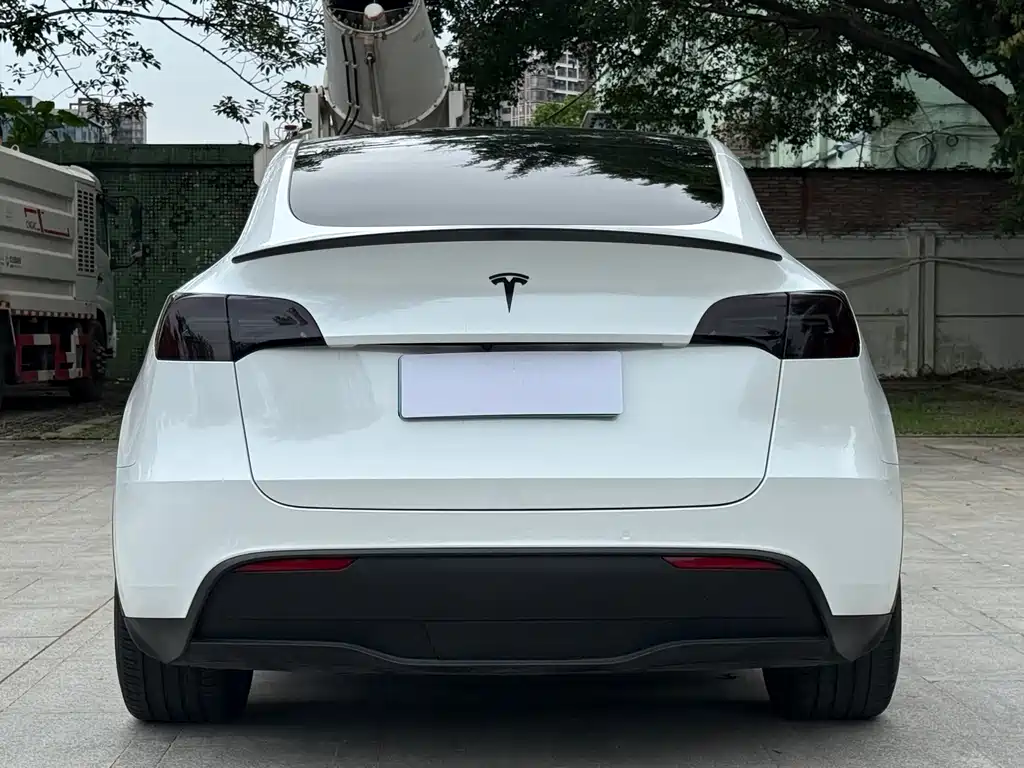 Tesla Model Y 2023 — фото 6