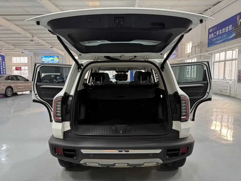 Haval Big Dog 2021 — фото 16