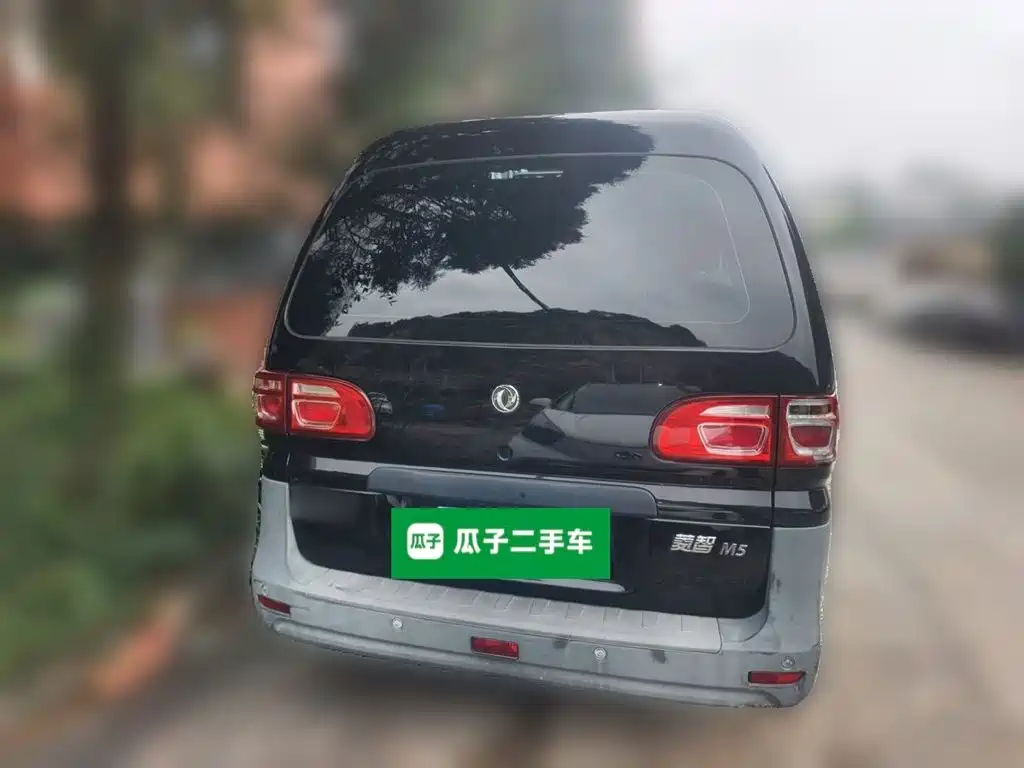 Fengxing Lingzhi 2021
