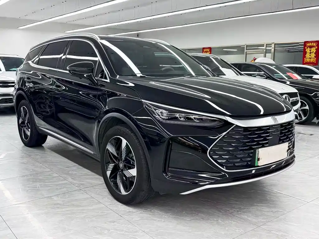 BYD Tang New Energy 2024 — фото 3