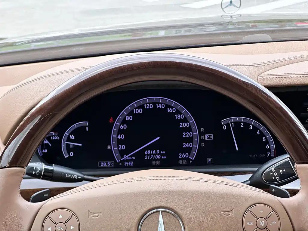 Mercedes-Benz S-Class 2013 — фото 16