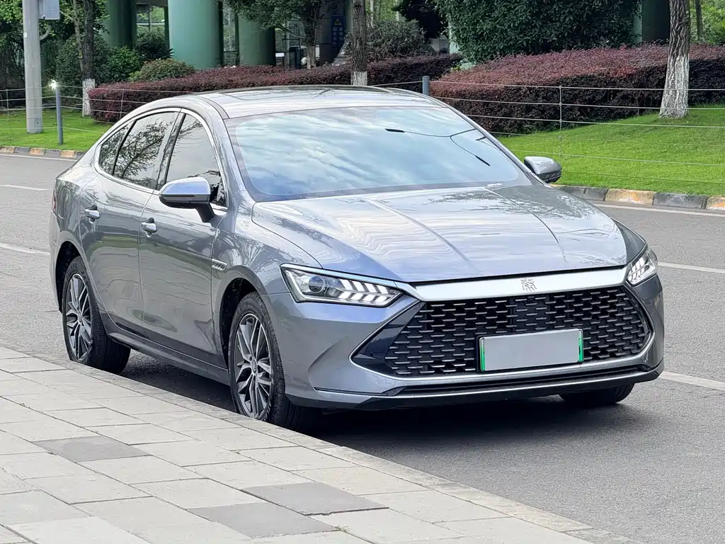 BYD Qin PLUS 2023 — фото 3
