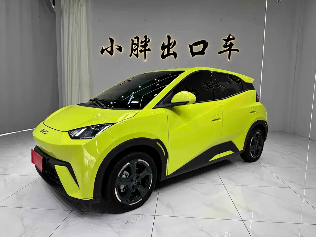 BYD Seagull 2024