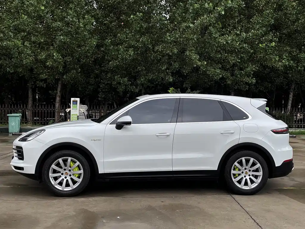 Porsche Cayenne New Energy 2019 — фото 3
