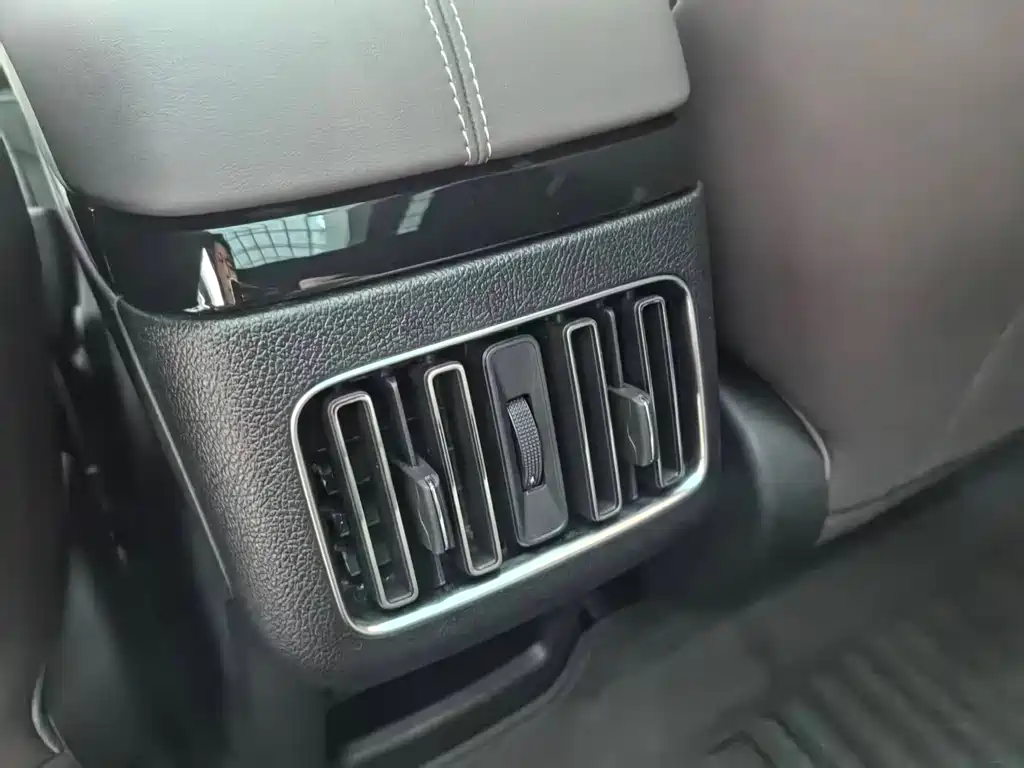 BYD Song PLUS New Energy 2024 — фото 22