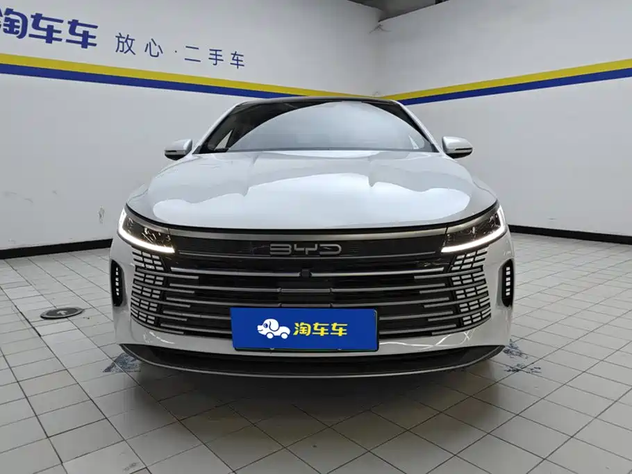 BYD Destroyer 05 2024 — фото 2