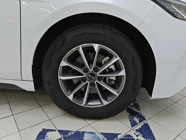 BYD Destroyer 05 2024