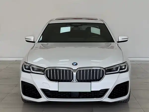 BMW 5 Series New Energy 2022
