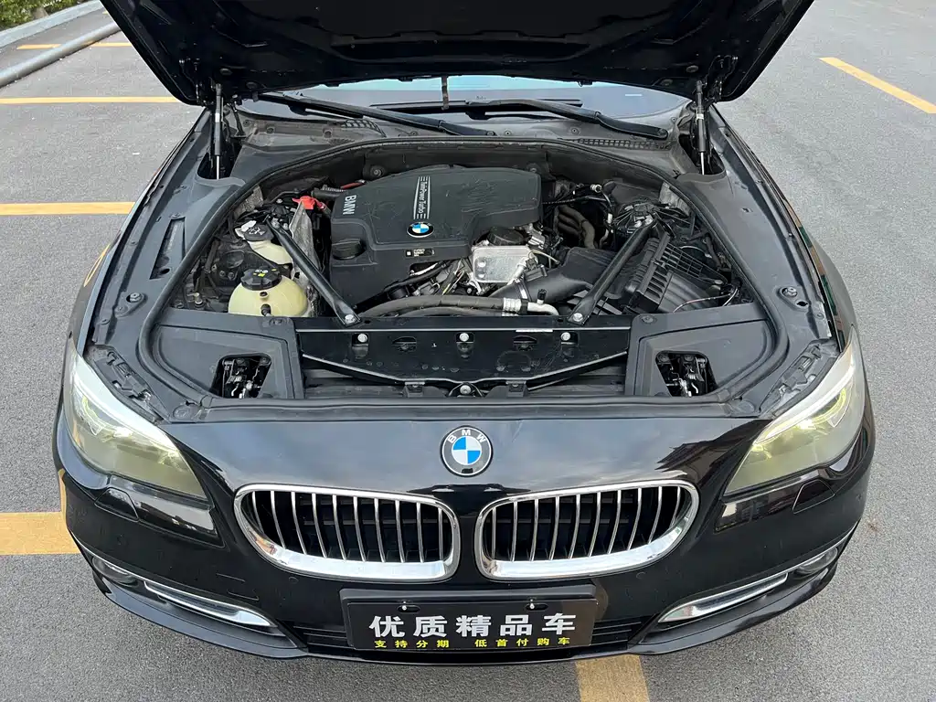 BMW 5 Series 2017 — фото 28