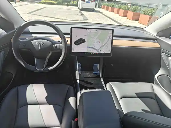Tesla Model 3 2021