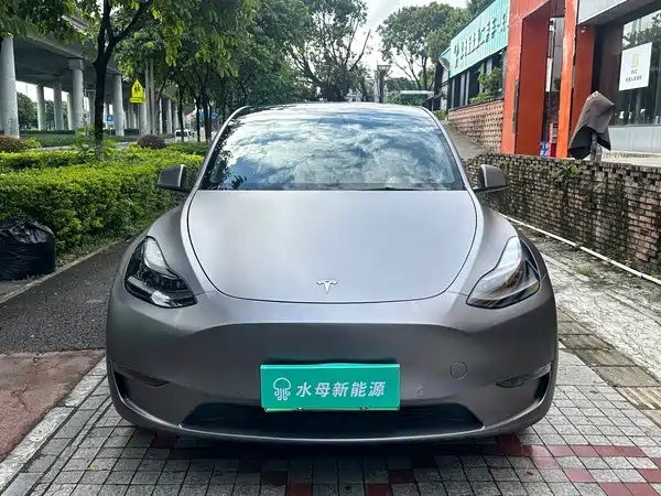 Tesla Model Y 2021