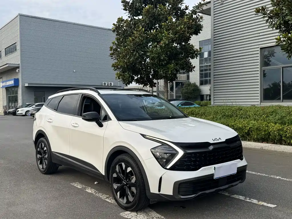 Kia Lion Platinum Expands The Boundary 2024 — фото 3