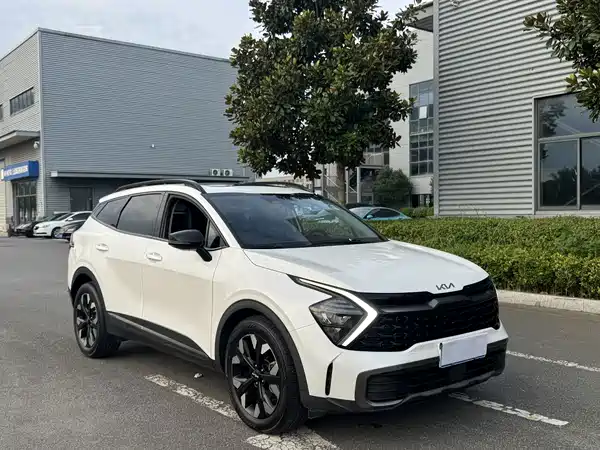 Kia Lion Platinum Expands The Boundary 2024