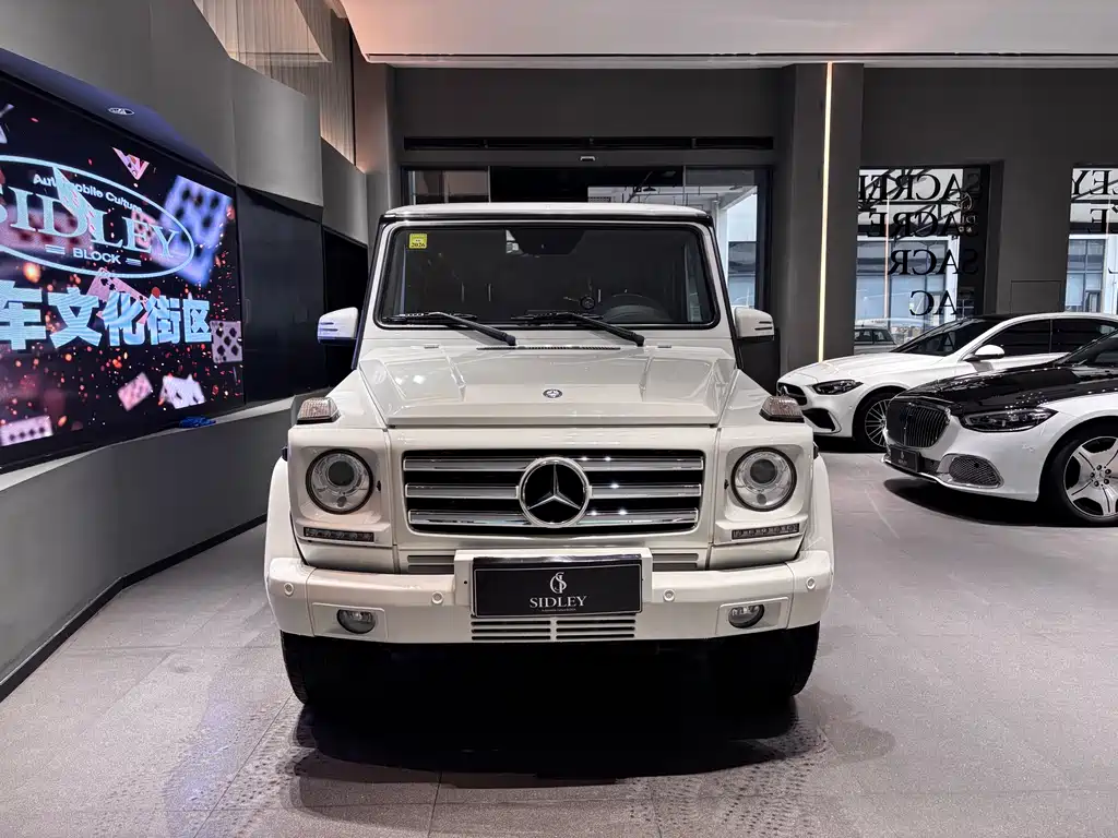 Mercedes-Benz G-Class 2013 — фото 2