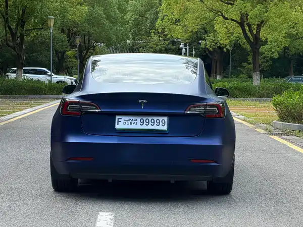 Tesla Model 3 2019