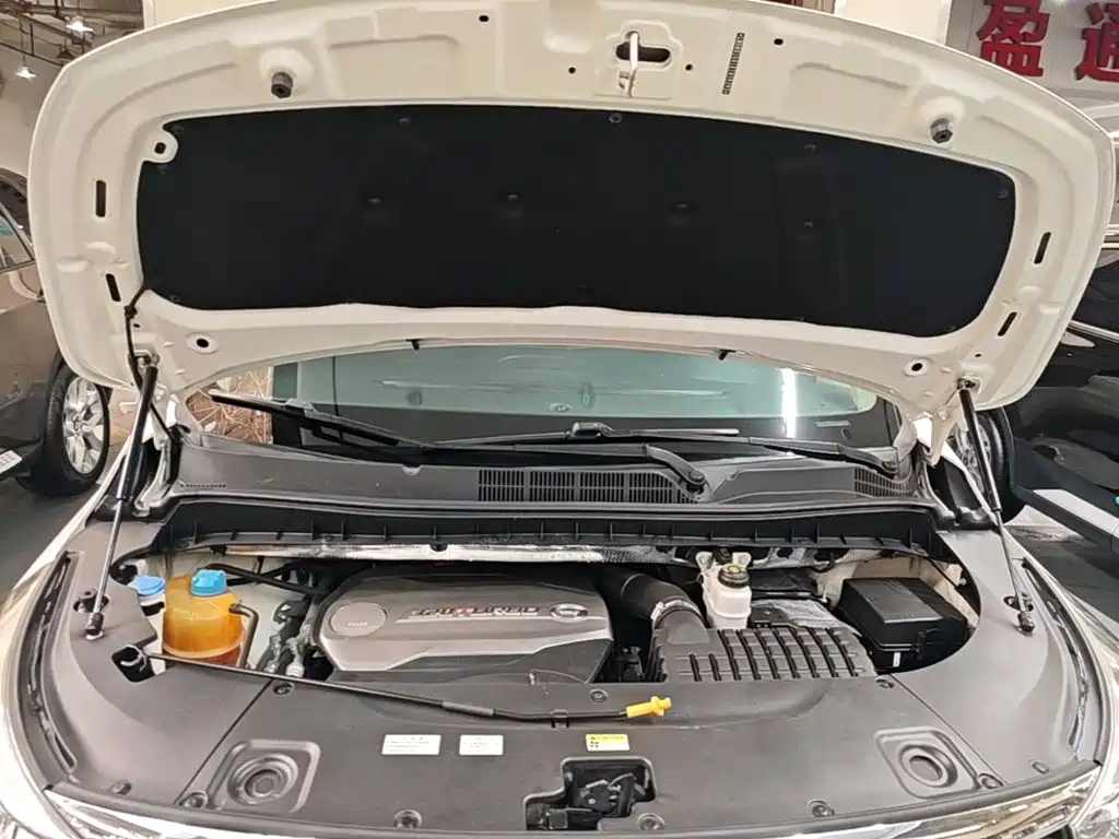 GAC Trumpchi M8 2019 — фото 20