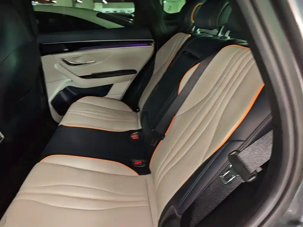 BYD Song PLUS New Energy 2021 — фото 17