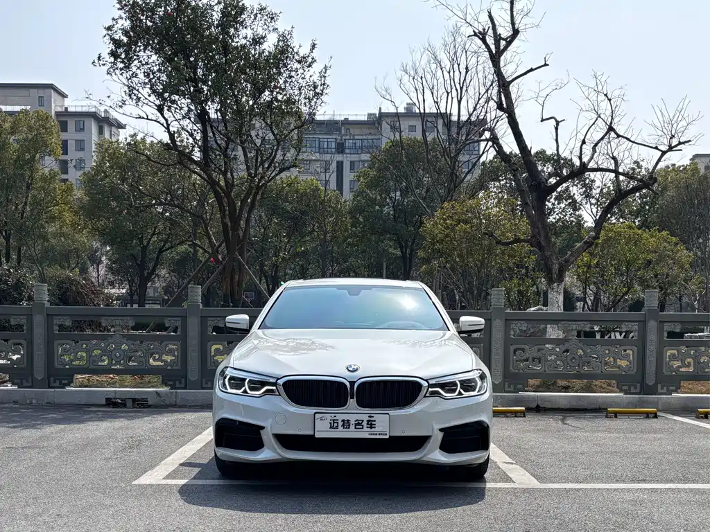 BMW 5 Series 2020 — фото 2