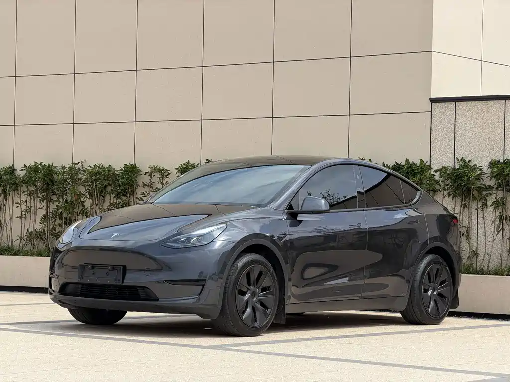 Tesla Model Y 2025 — фото 1