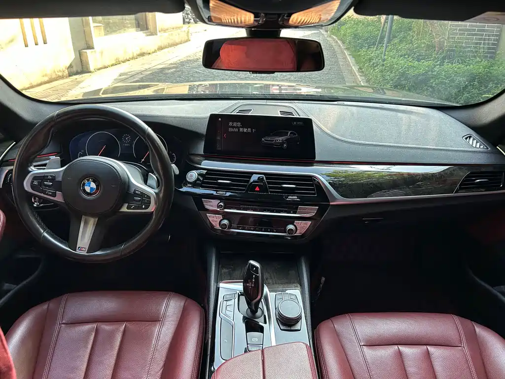 BMW 5 Series 2019