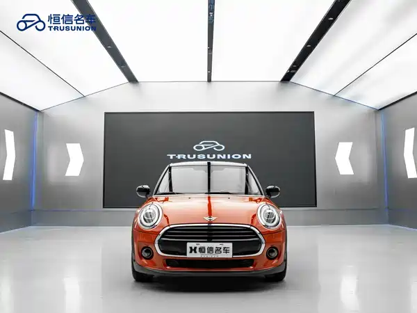 MINI MINI 2020