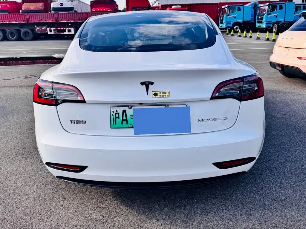 Tesla Model 3 2021 — фото 5
