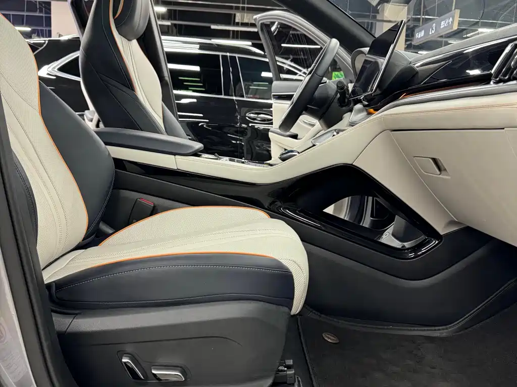 BYD PLUS New Energy 2023 — фото 16