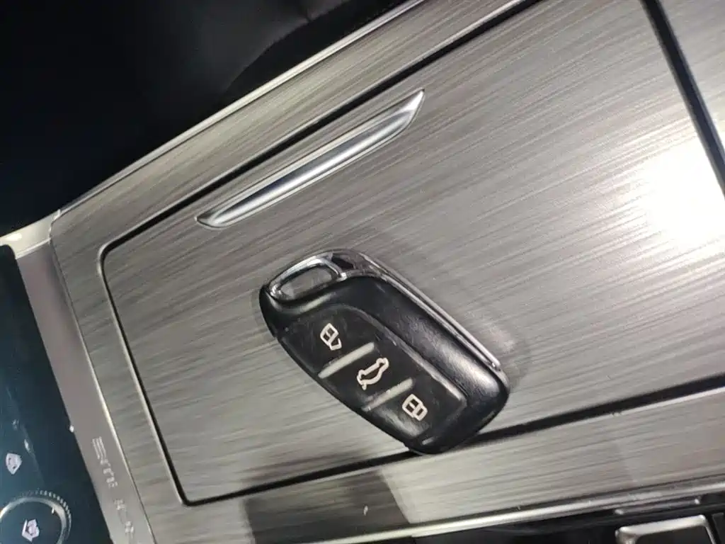 Roewe RX5 New Energy 2020 — фото 9