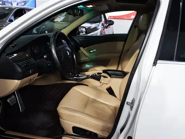 BMW 5 Series 2010