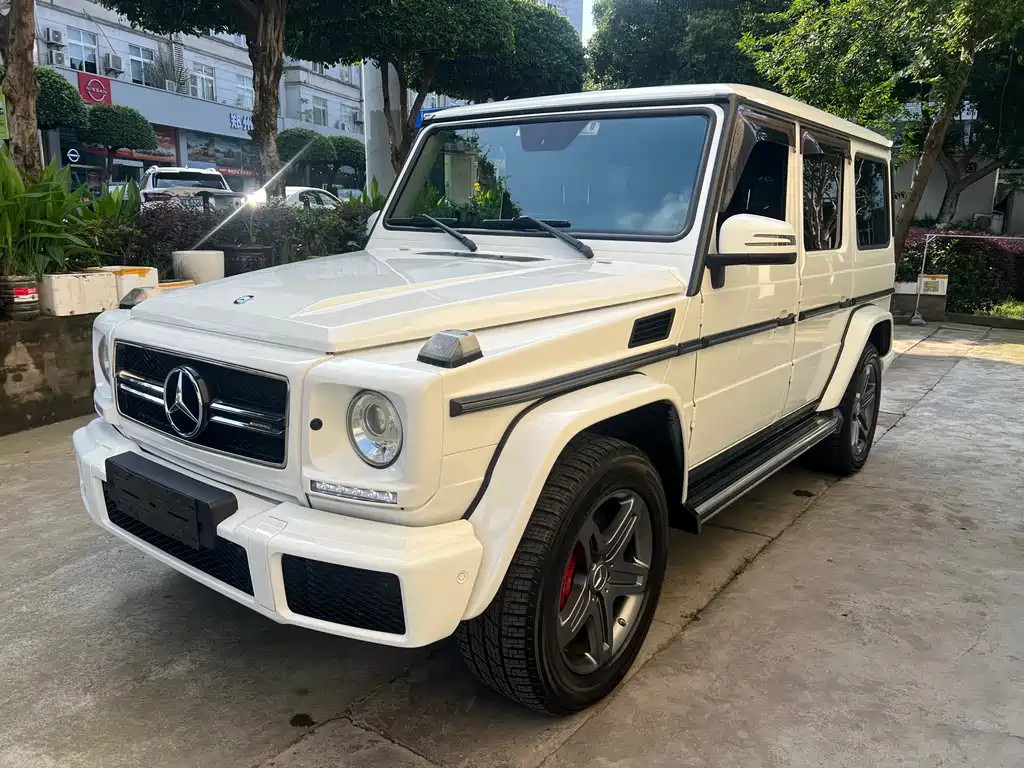 Mercedes-Benz G-Class 2016 — фото 4