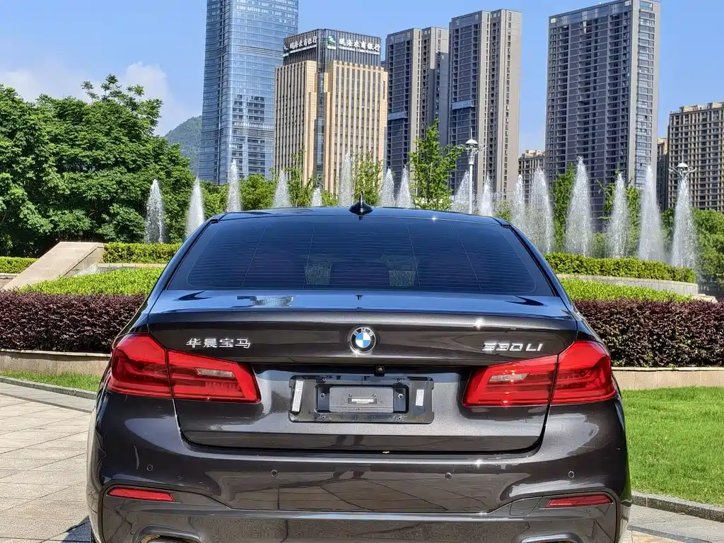 BMW 5 Series 2018 — фото 15
