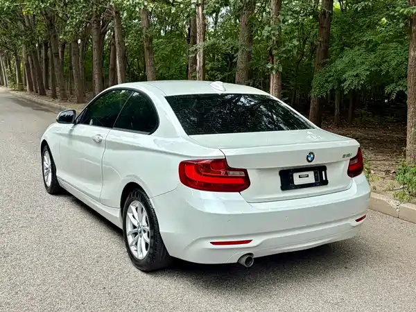 BMW 2 Series 2016