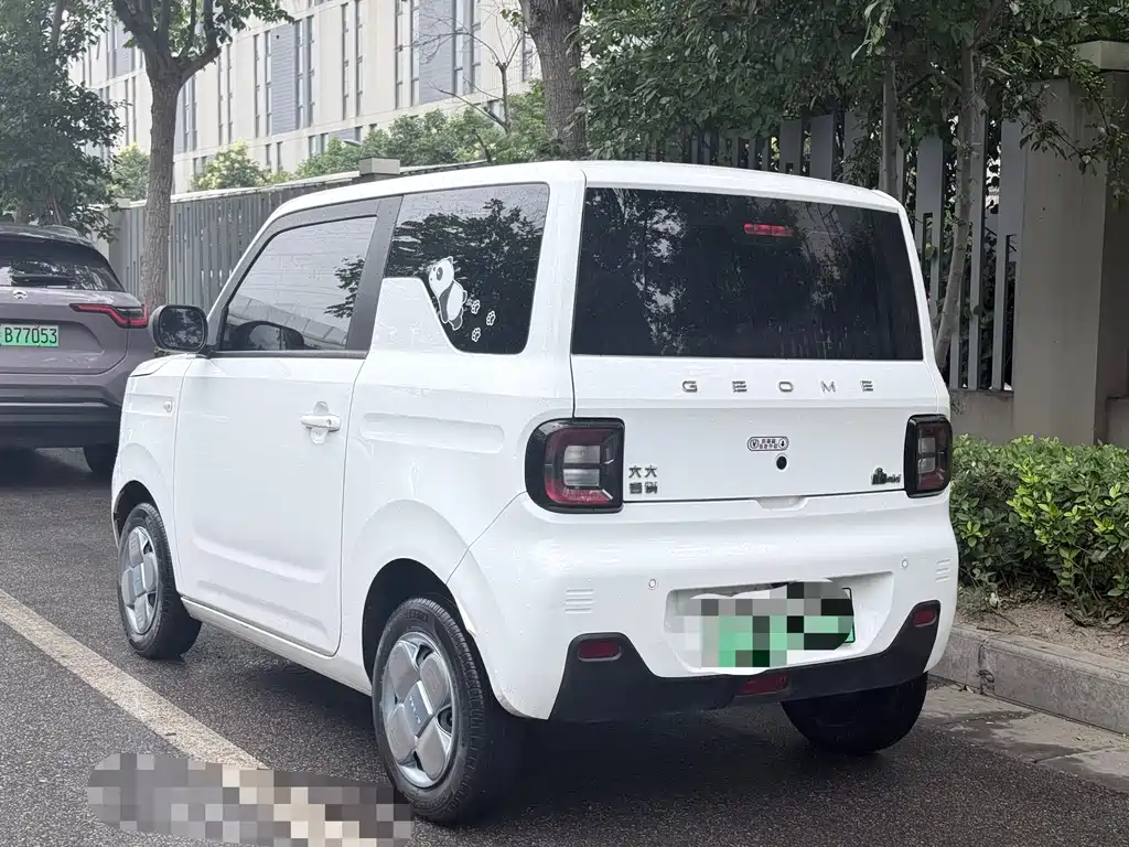 Galaxy Panda 2024