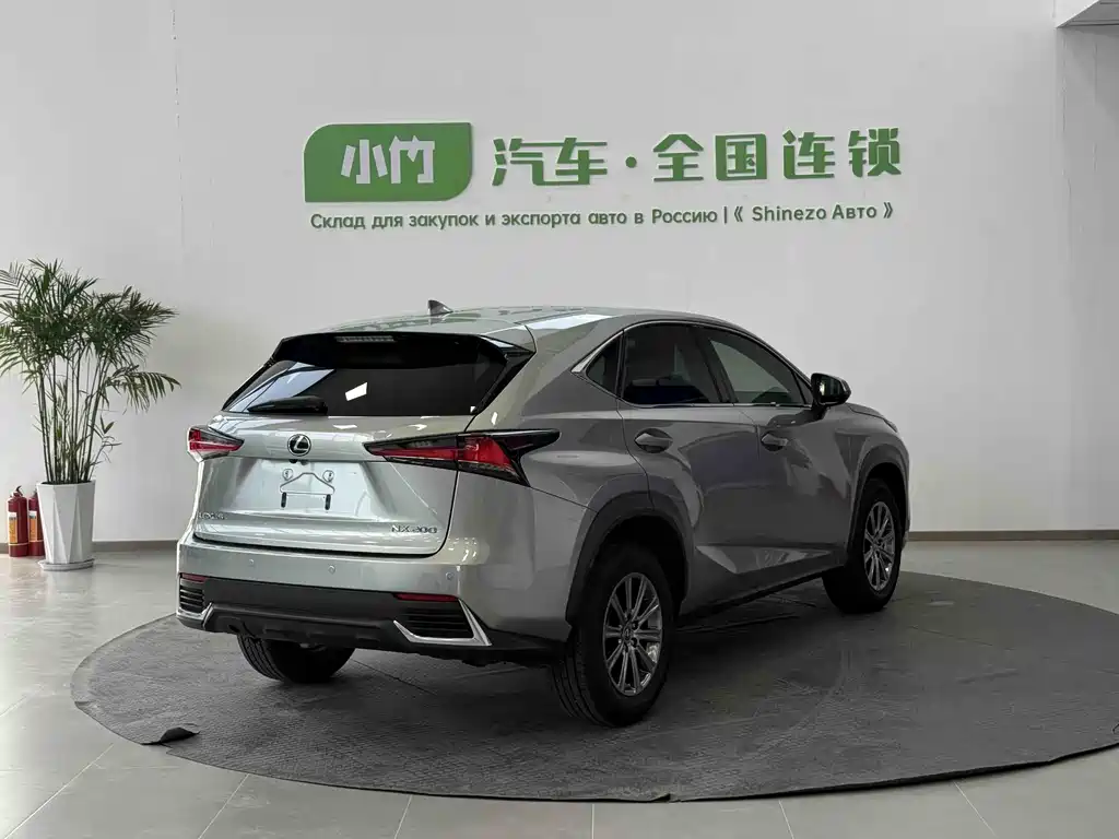 Lexus NX 2020 — фото 8