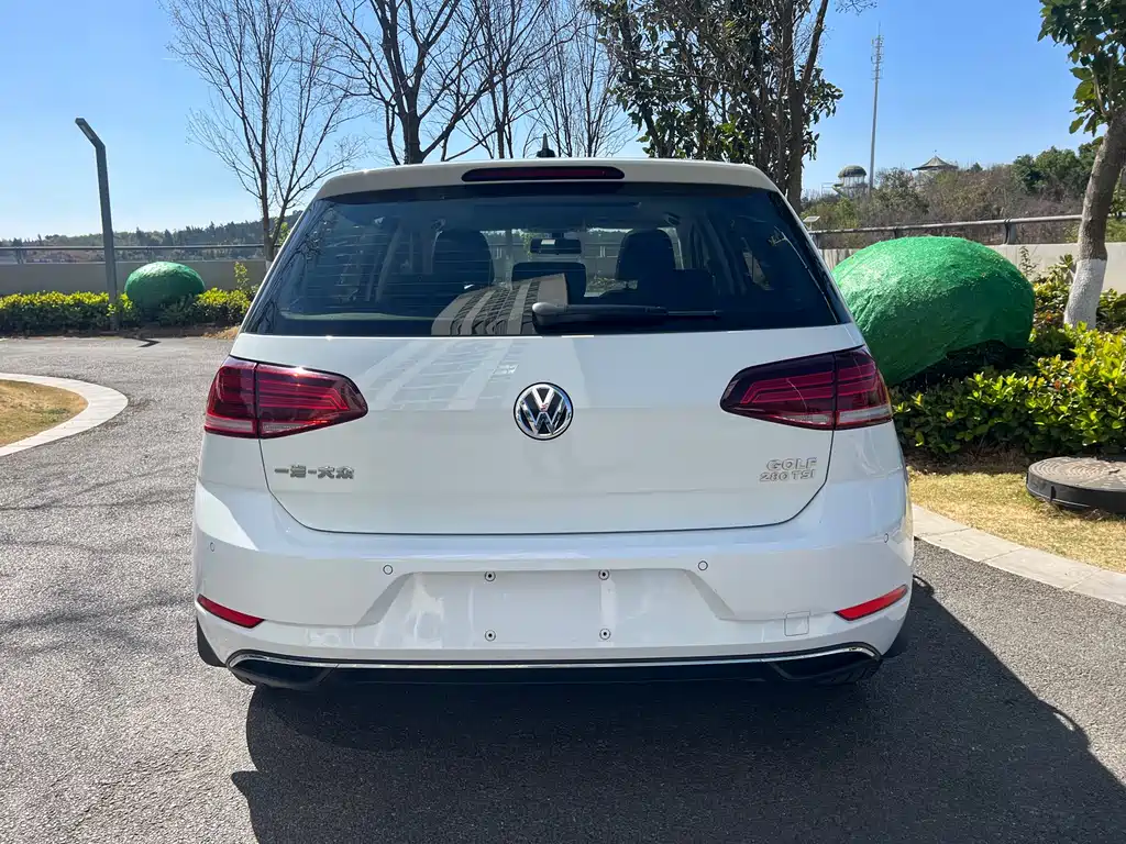 Volkswagen Golf 2019 — фото 14