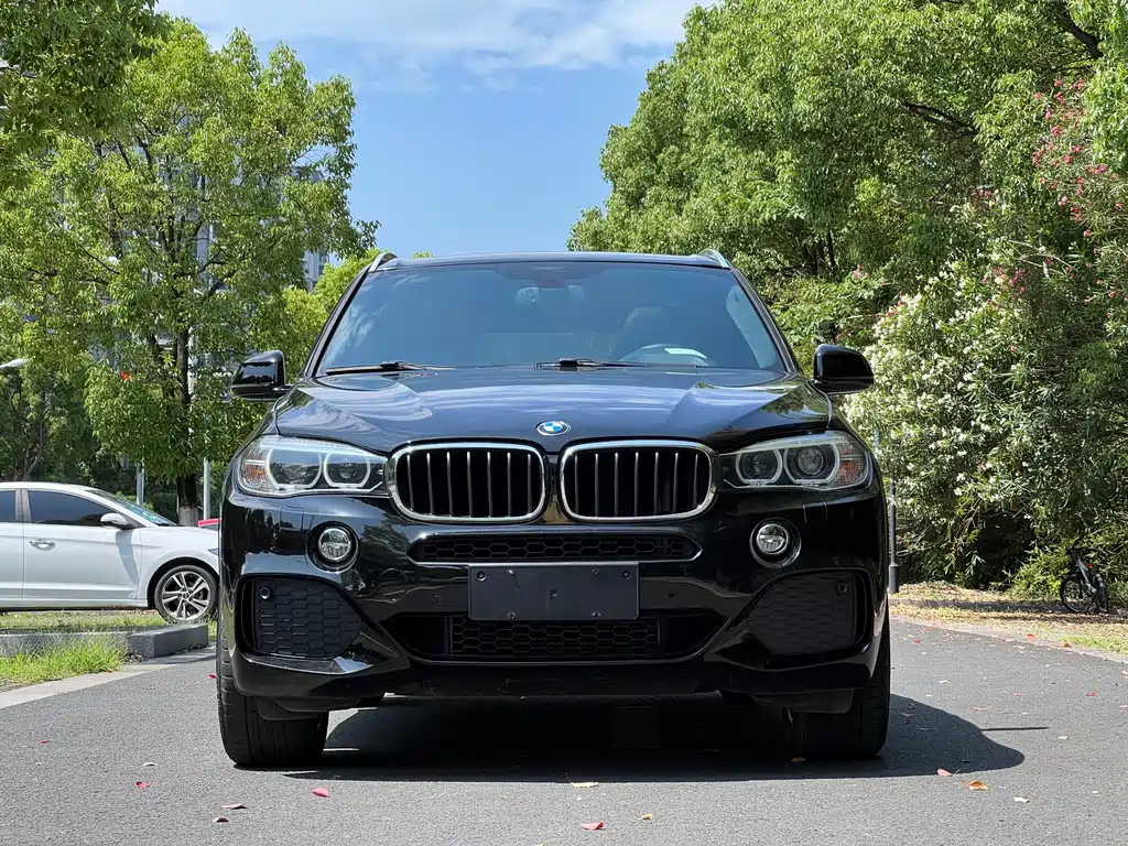 BMW X5 2017 — фото 2